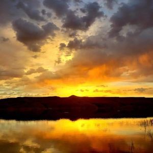 Meet your Posher, Alan